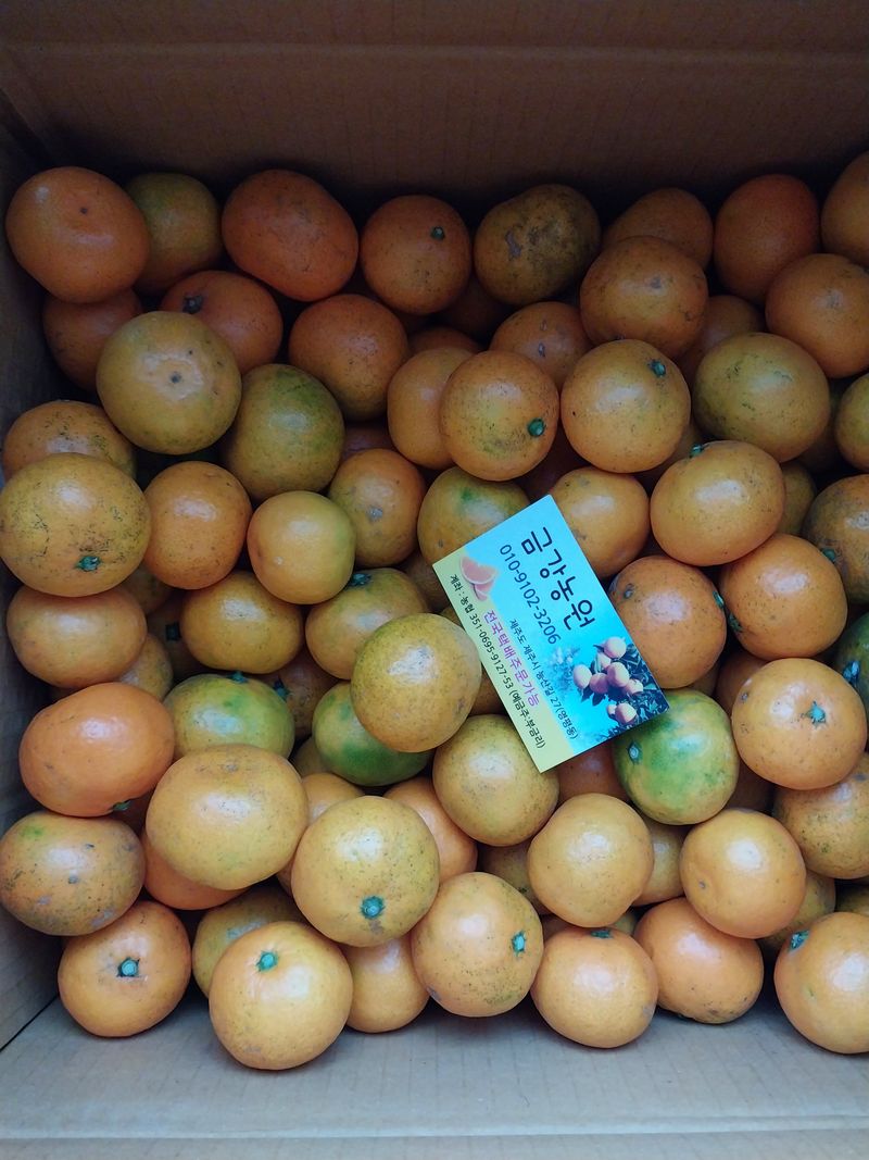 금동이네님의 장터 구매 후기 썸네일