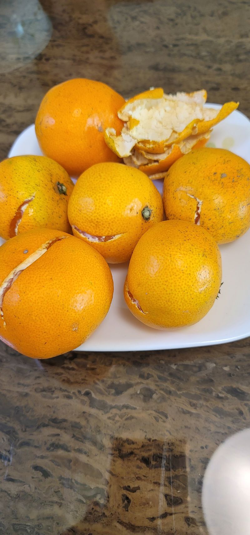 김성철님의 장터 구매 후기 썸네일