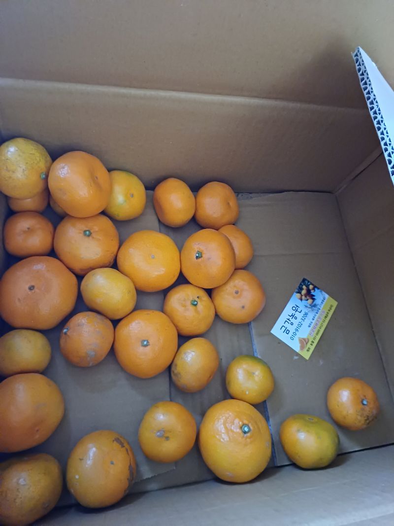 김현규님의 장터 구매 후기 썸네일