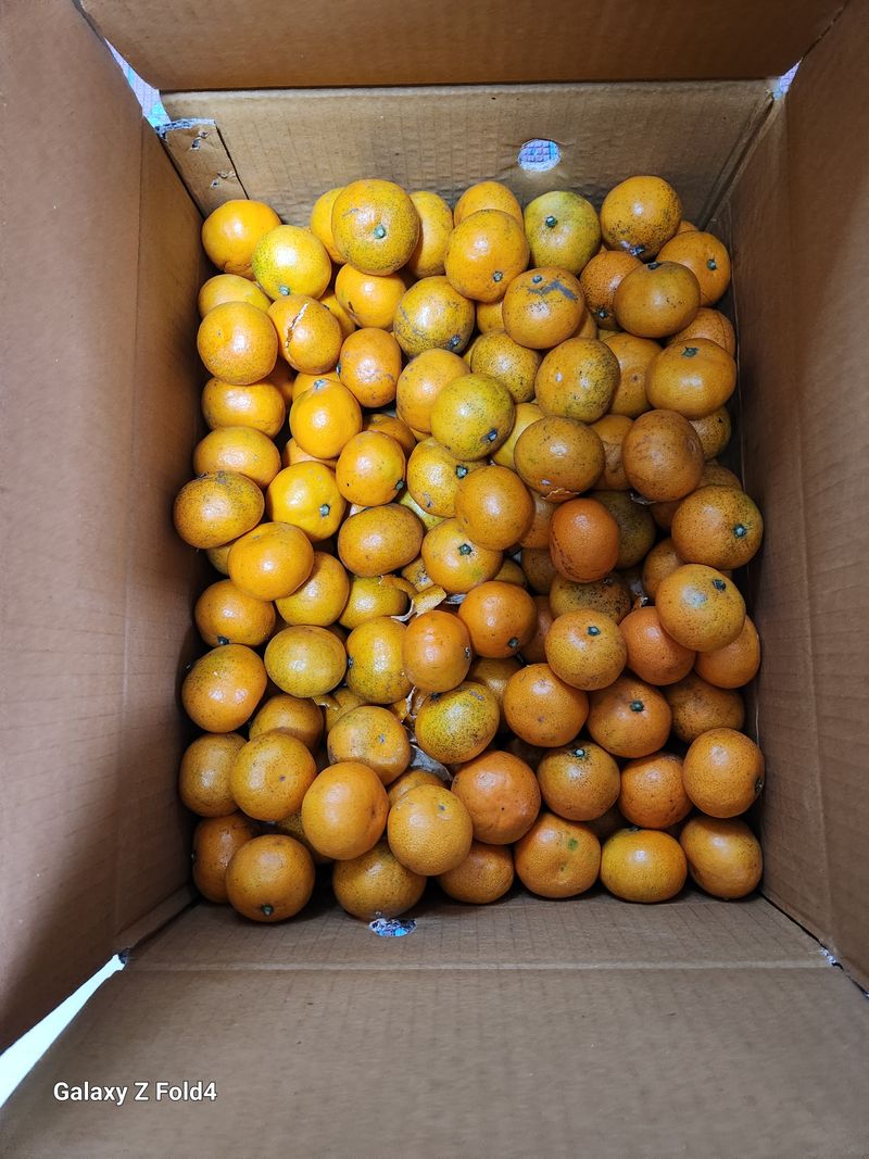 한상춘님의 장터 구매 후기 썸네일