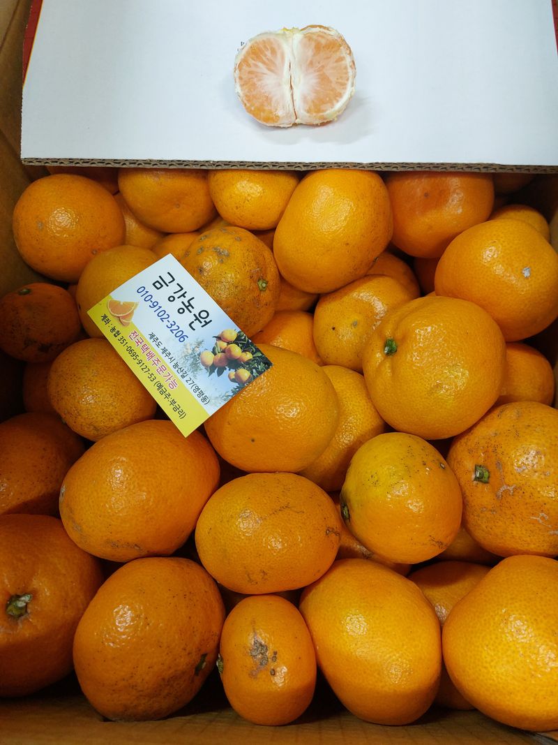 손윤영/수채화농원님의 장터 구매 후기 썸네일