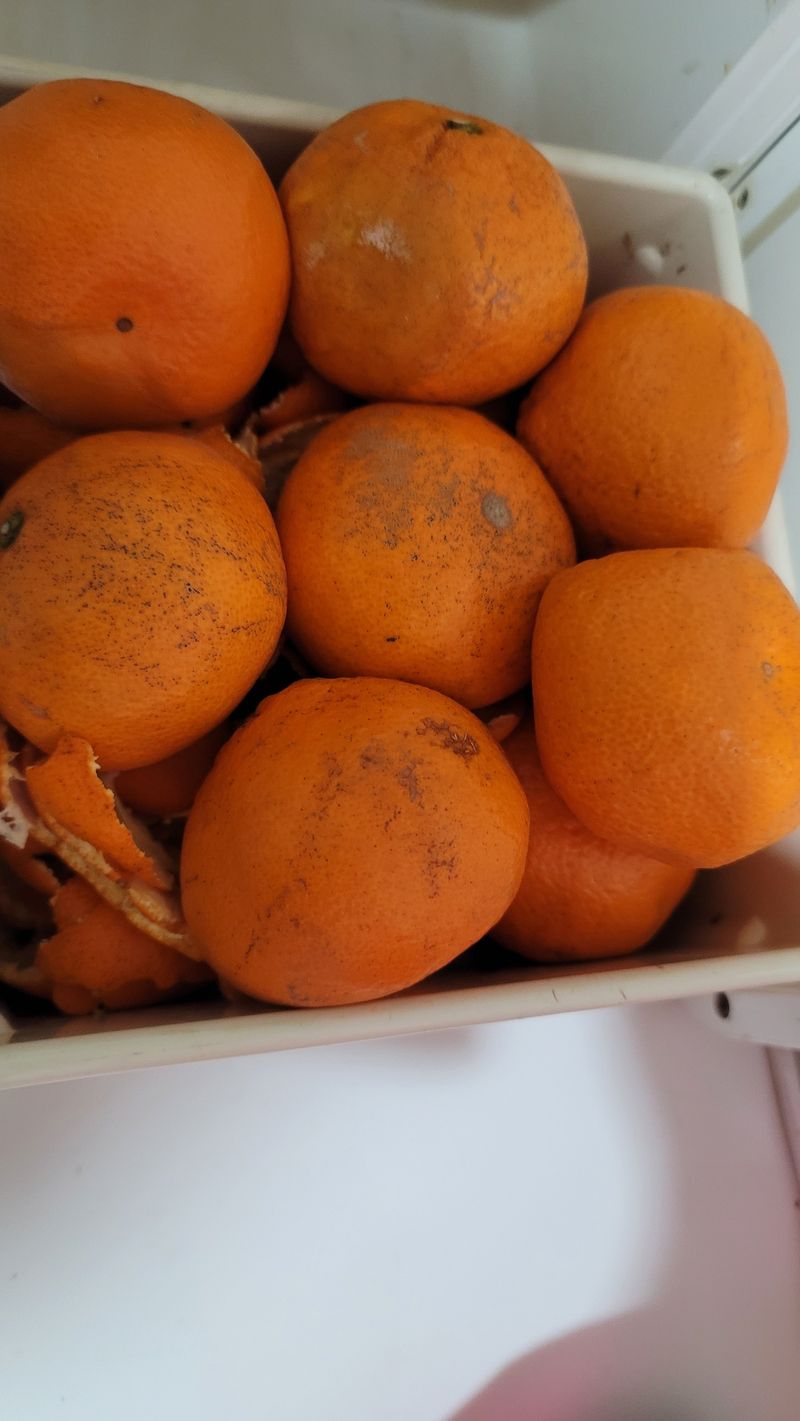 빈현린님의 장터 구매 후기 썸네일