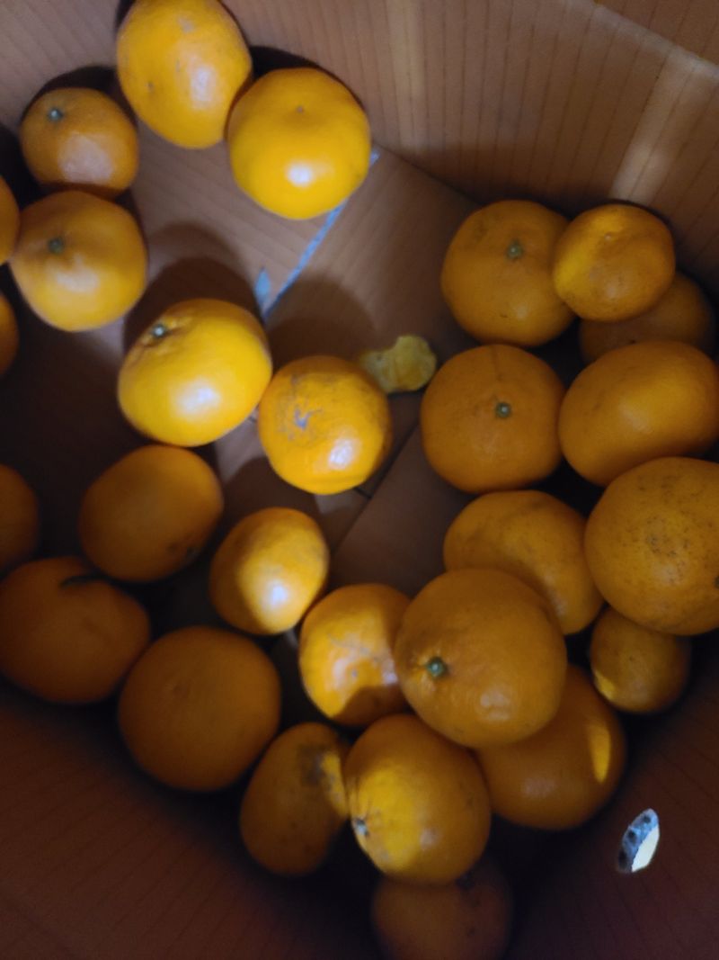 윤여천님의 장터 구매 후기 썸네일