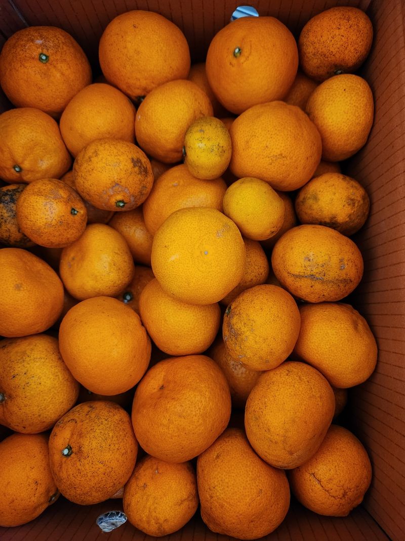 강미화11월출석왕♡님의 장터 구매 후기 썸네일