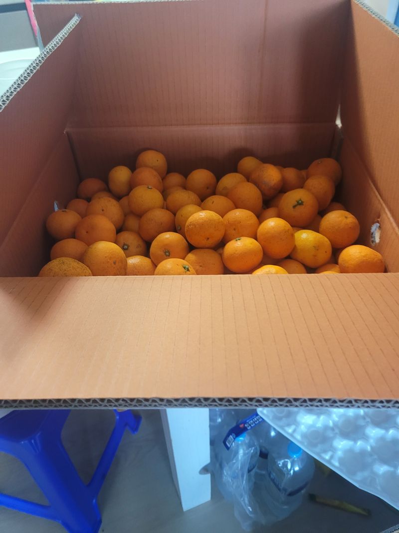 이원우님의 장터 구매 후기 썸네일