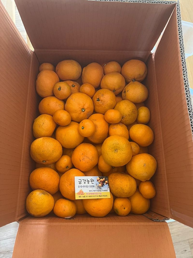 자두20879님의 장터 구매 후기 썸네일