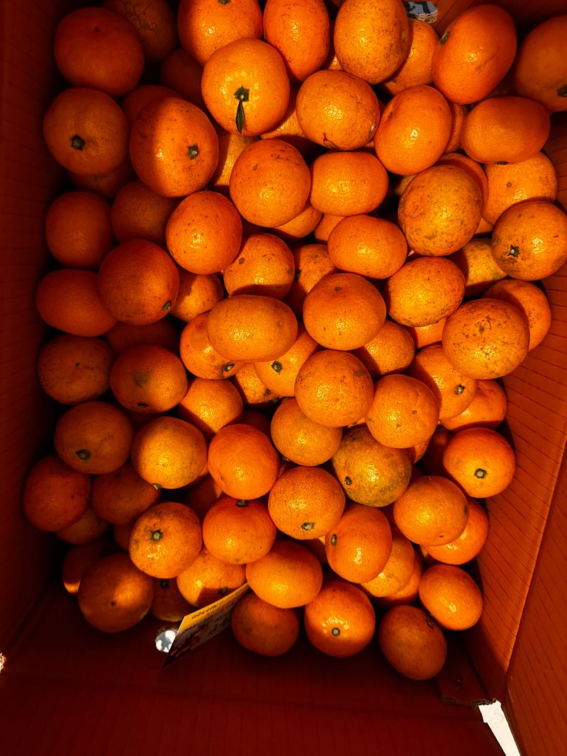 자두20879님의 장터 구매 후기 썸네일