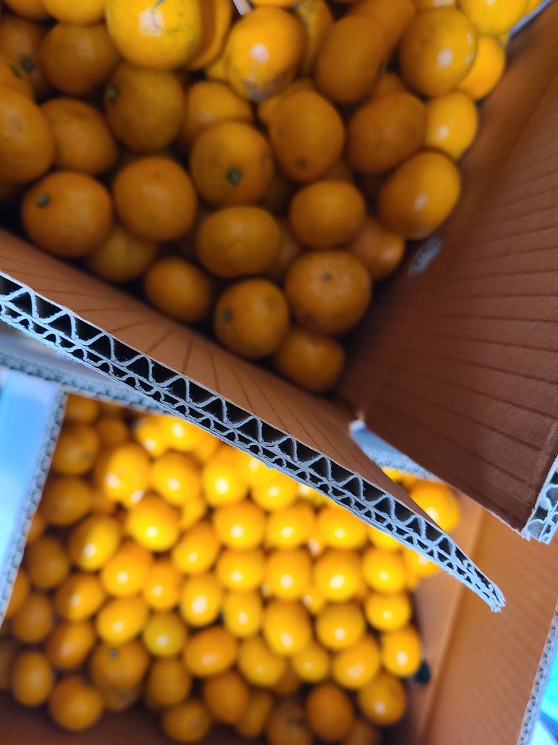 사느로님의 장터 구매 후기 썸네일