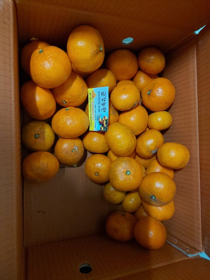 이은연님의 장터 구매 후기 썸네일