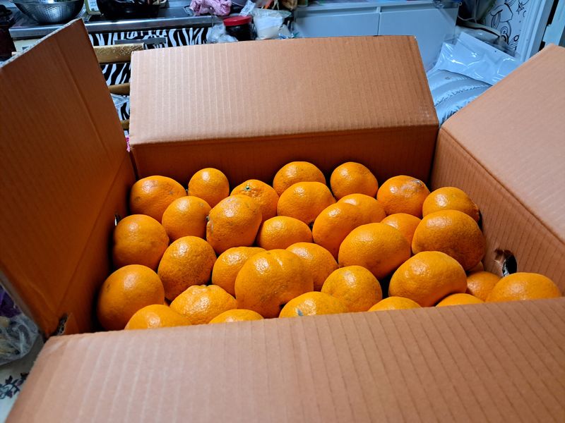 장은주님의 장터 구매 후기 썸네일