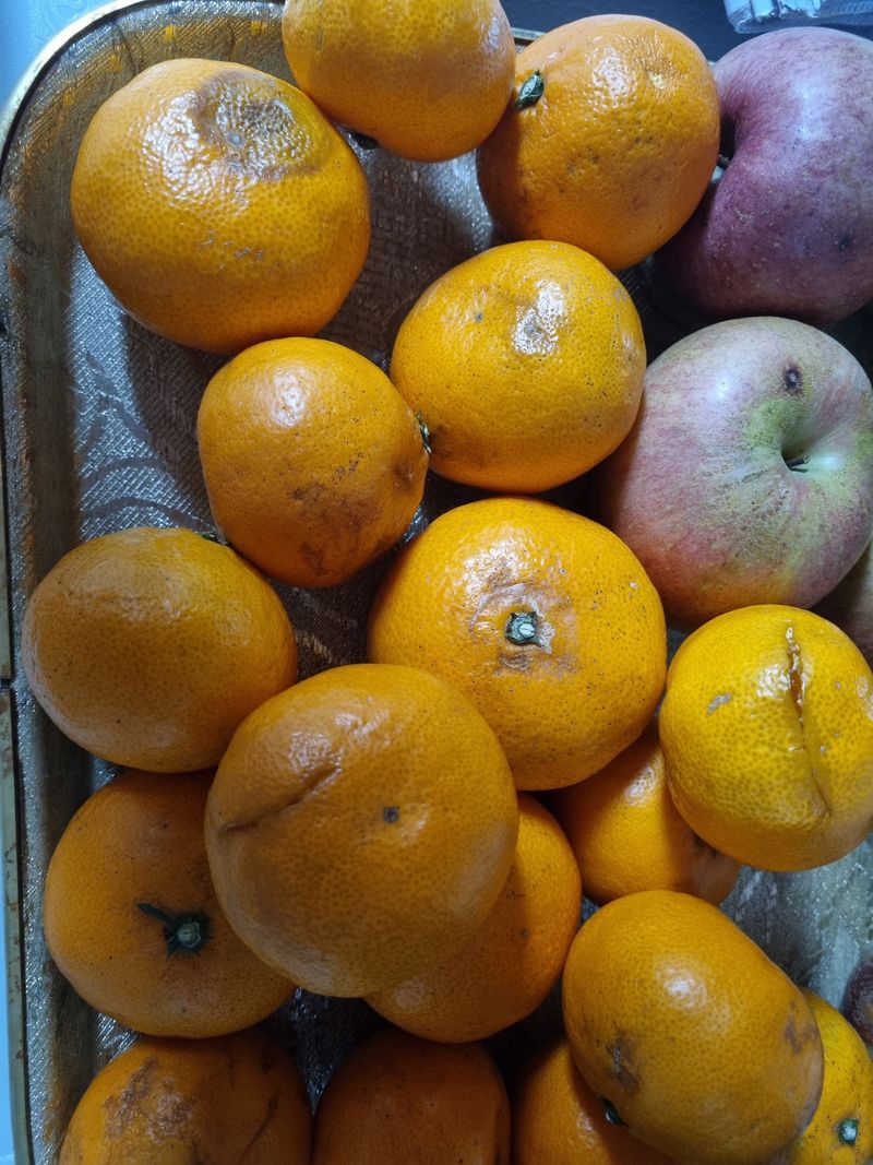 유비2님의 장터 구매 후기 썸네일