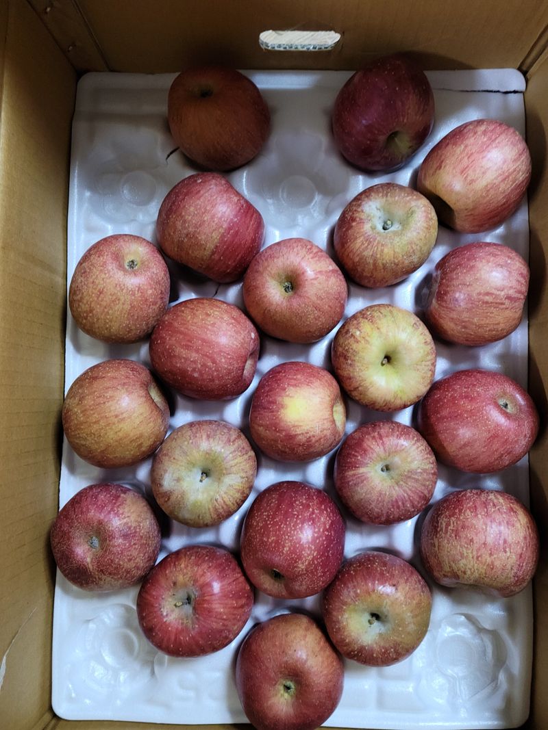 이숲농원님의 장터 구매 후기 썸네일