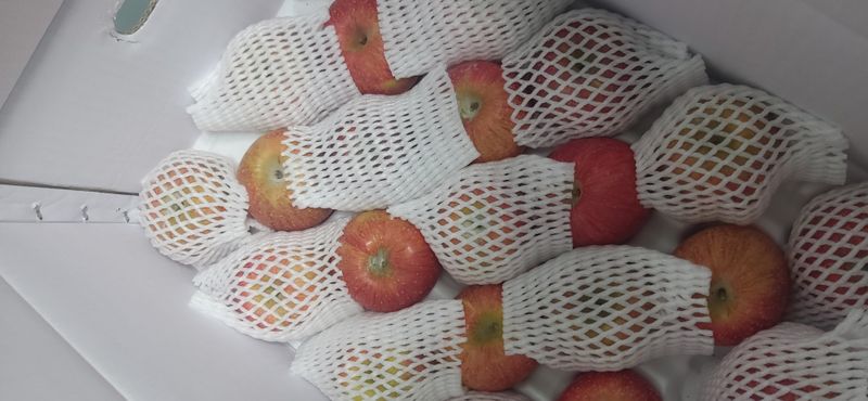 하얀진달래님의 장터 구매 후기 썸네일