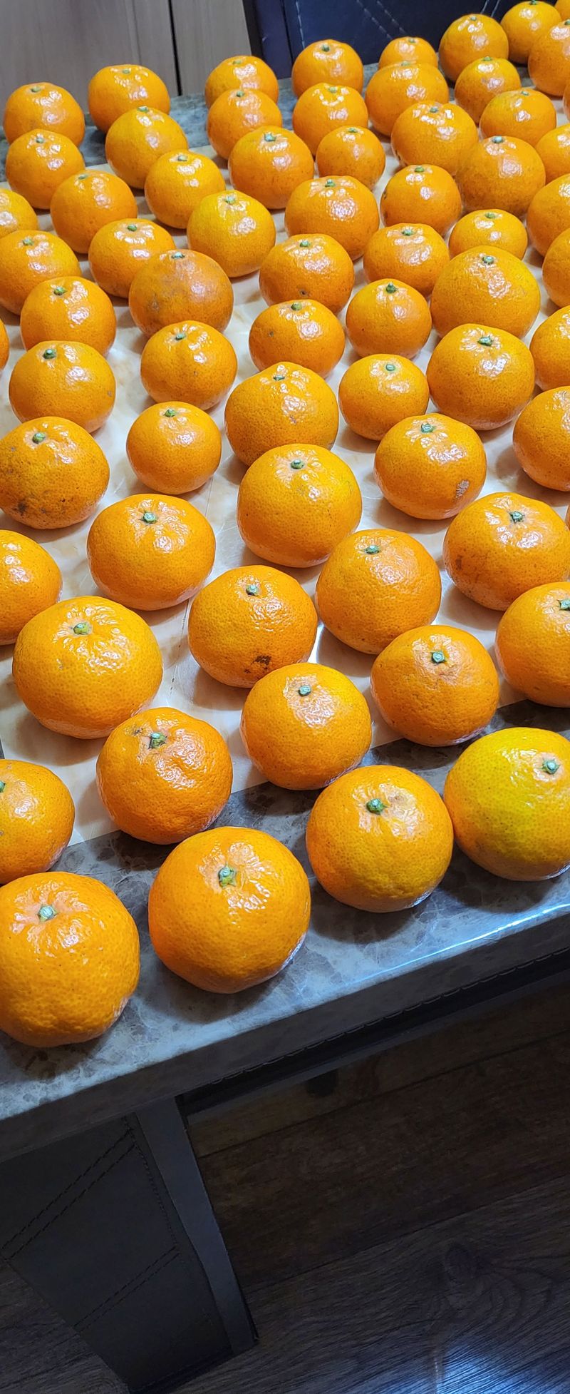 권경님의 장터 구매 후기 썸네일