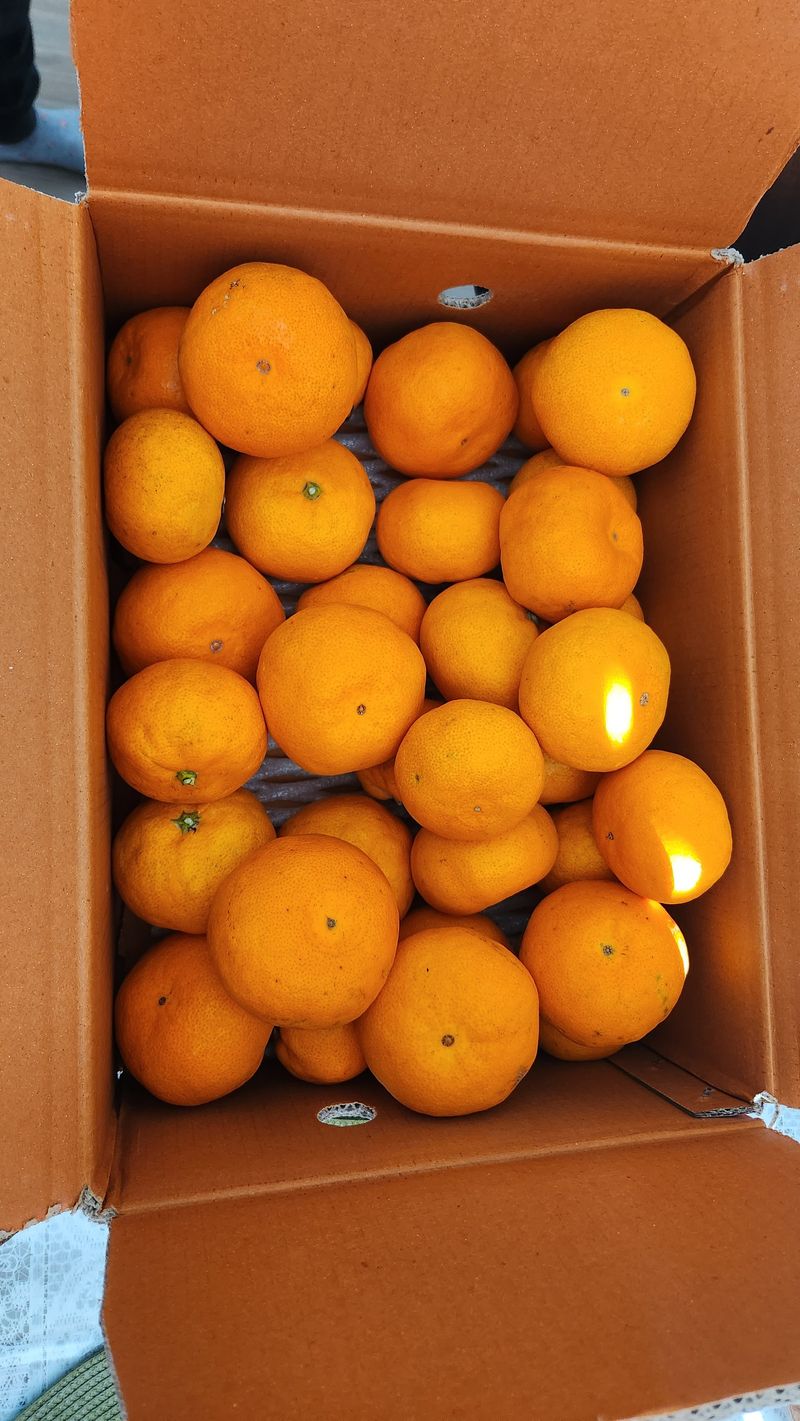 모실표고님의 장터 구매 후기 썸네일