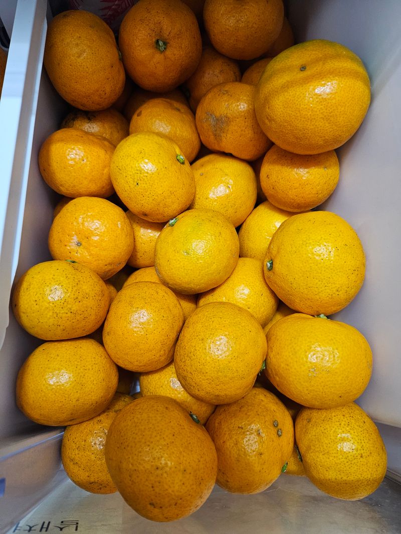 배앙이님의 장터 구매 후기 썸네일