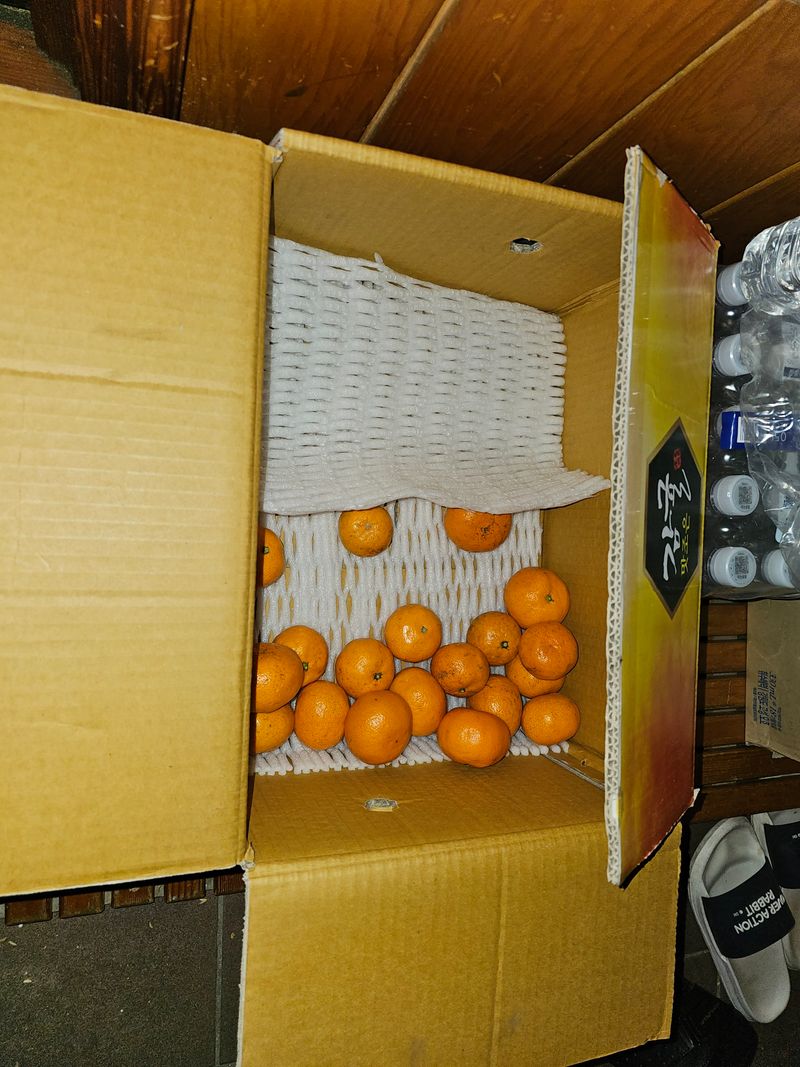 송영철님의 장터 구매 후기 썸네일