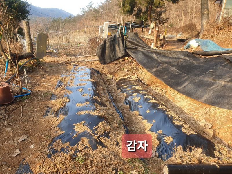 김순필수방님의 장터 구매 후기 썸네일