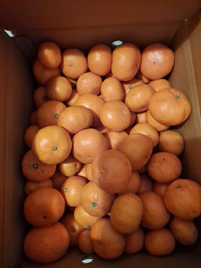 김영미님의 장터 구매 후기 썸네일