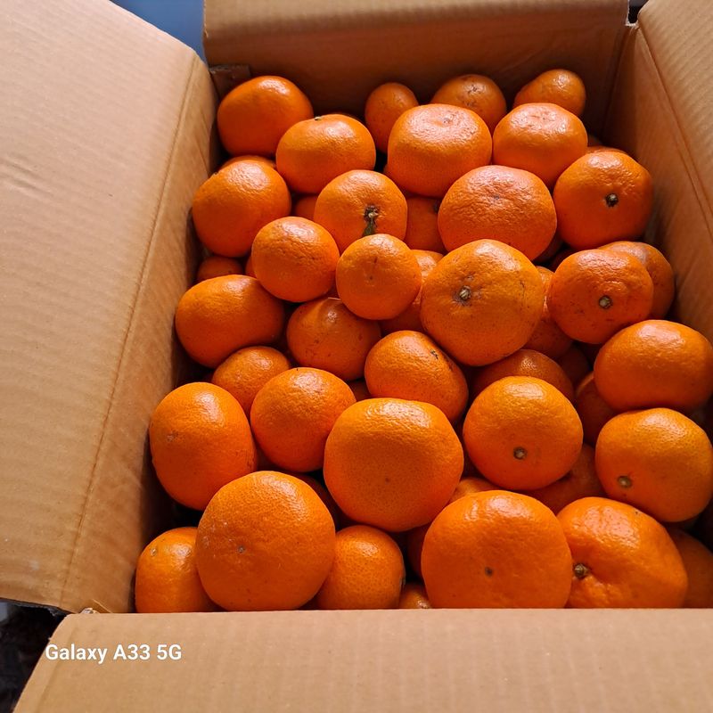 소녀시대(중구)님의 장터 구매 후기 썸네일