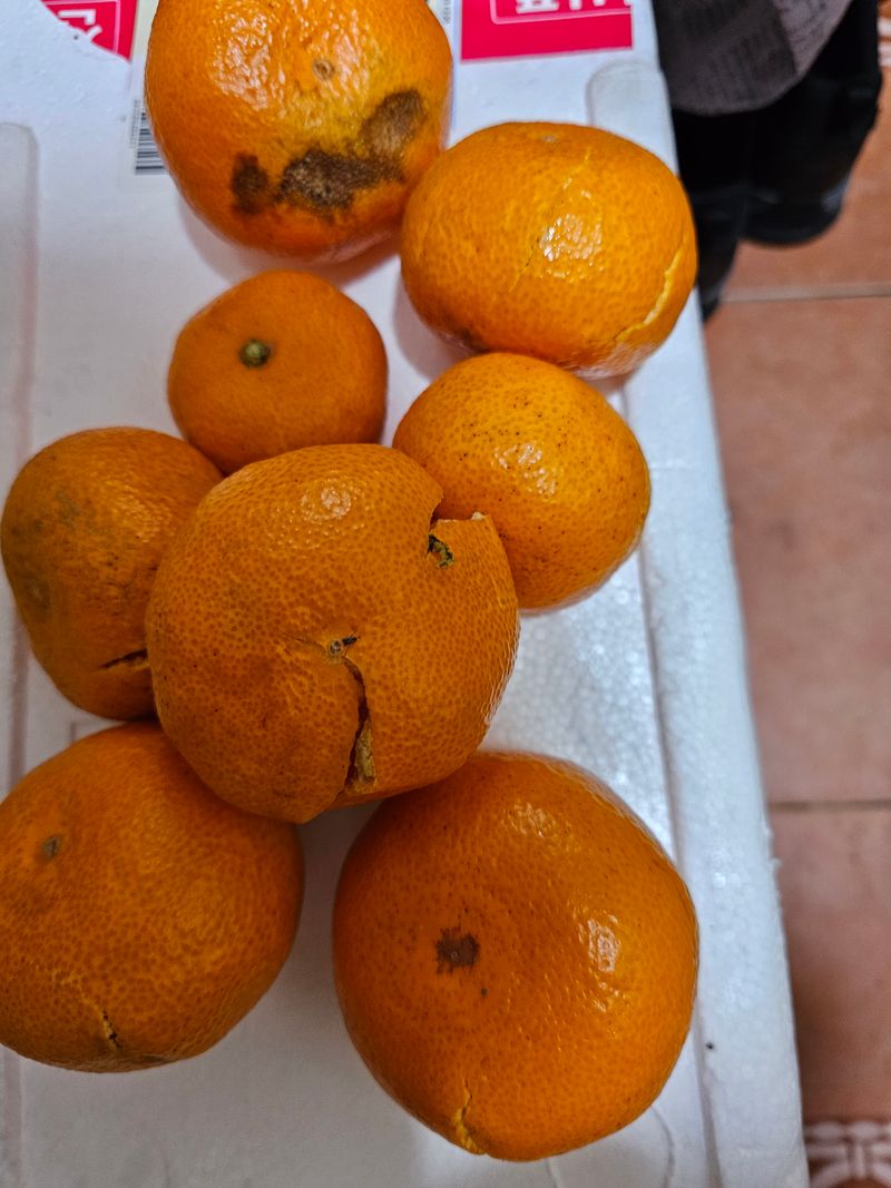 서후님의 장터 구매 후기 썸네일