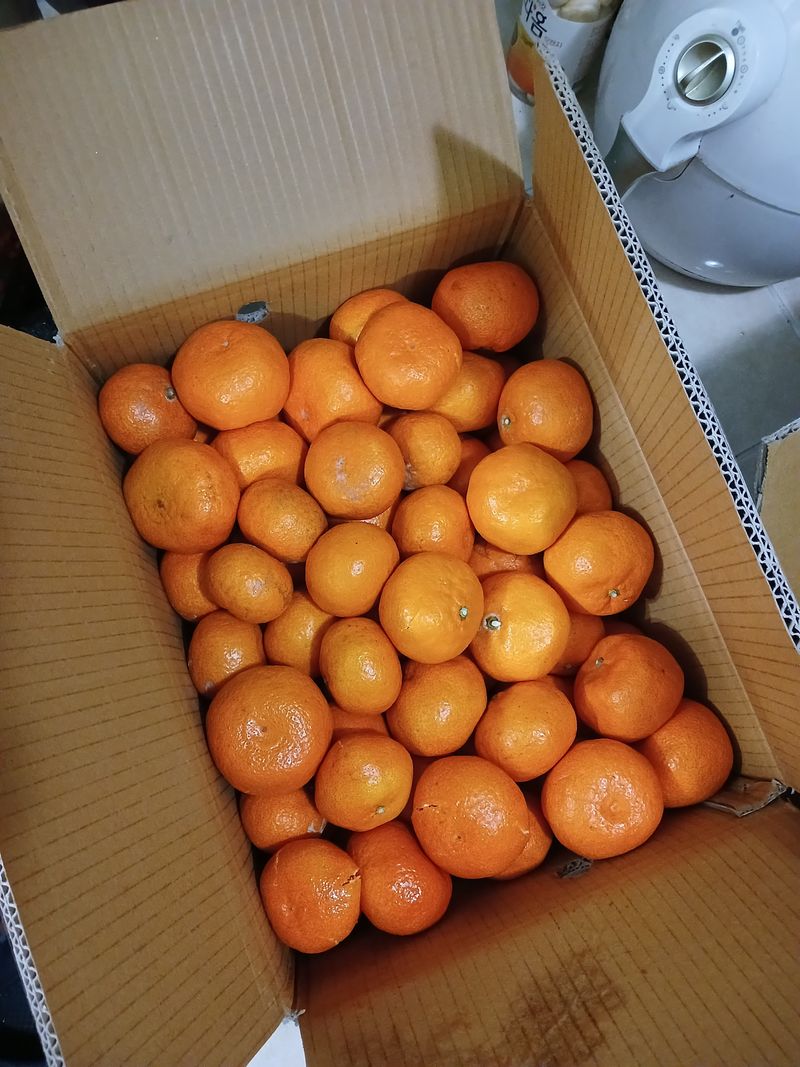 콩19996ㆍ혜자님의 장터 구매 후기 썸네일