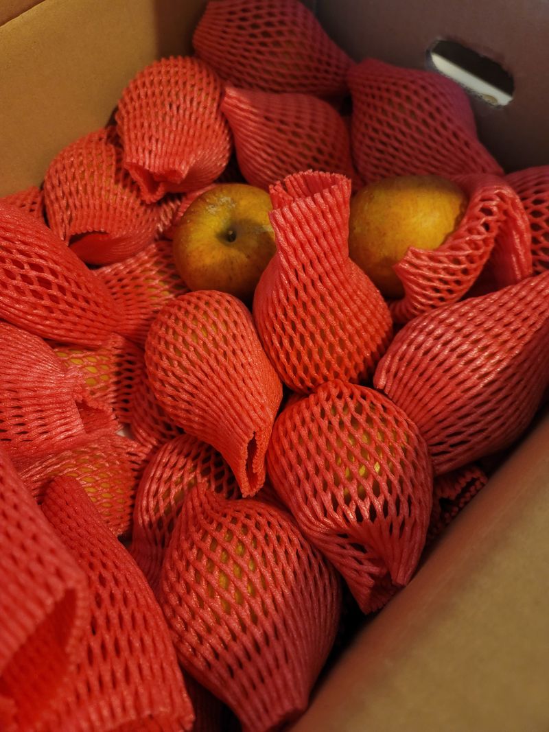 김재용님의 장터 구매 후기 썸네일