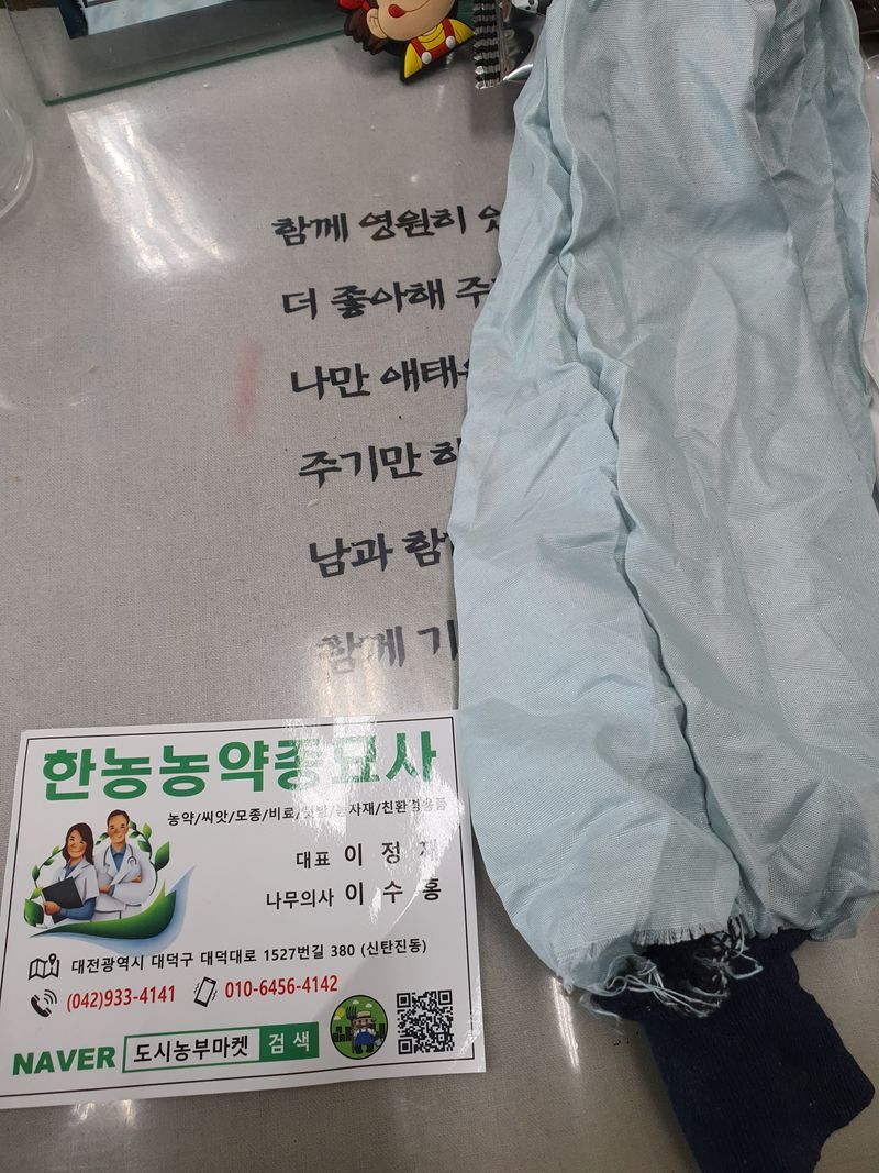 용인시  처인구포곡님의 장터 구매 후기 썸네일