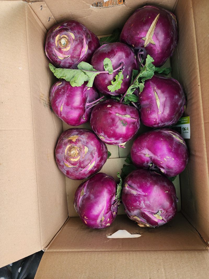 현등농원♡님의 장터 구매 후기 썸네일