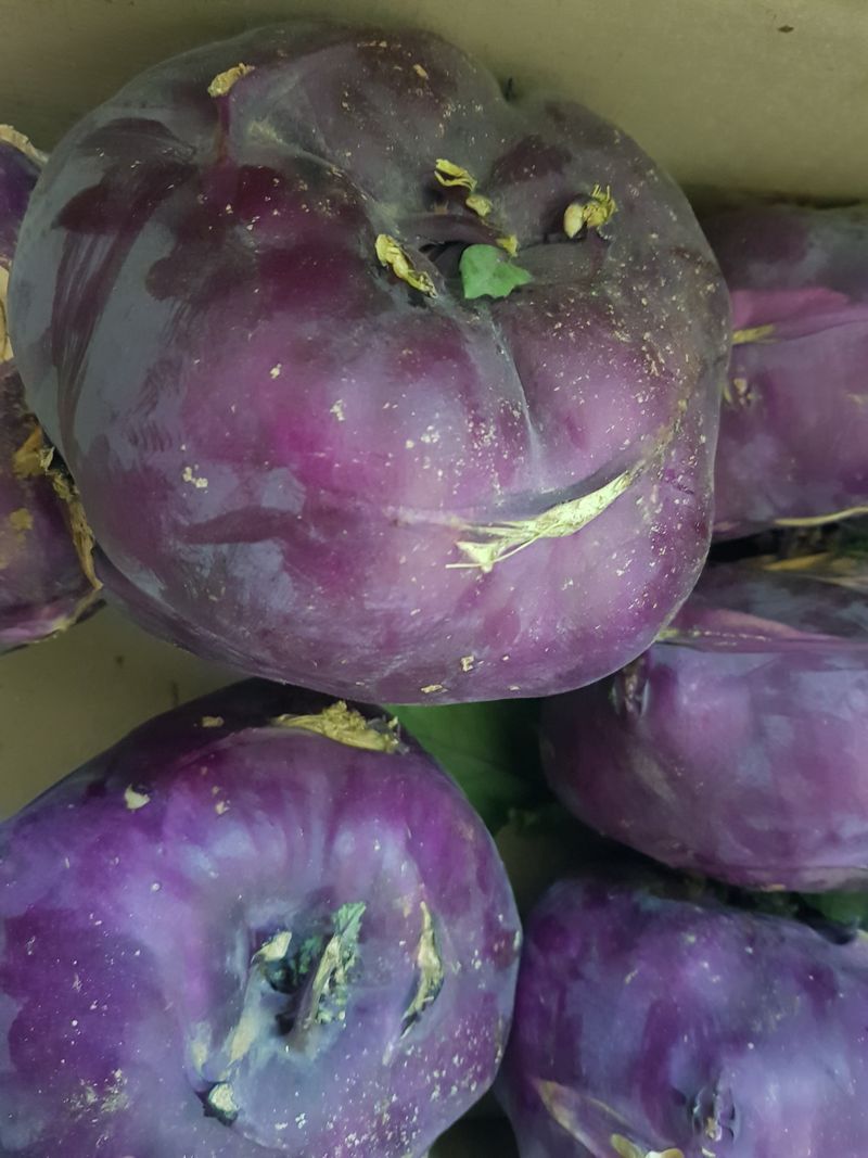 당근한개님의 장터 구매 후기 썸네일