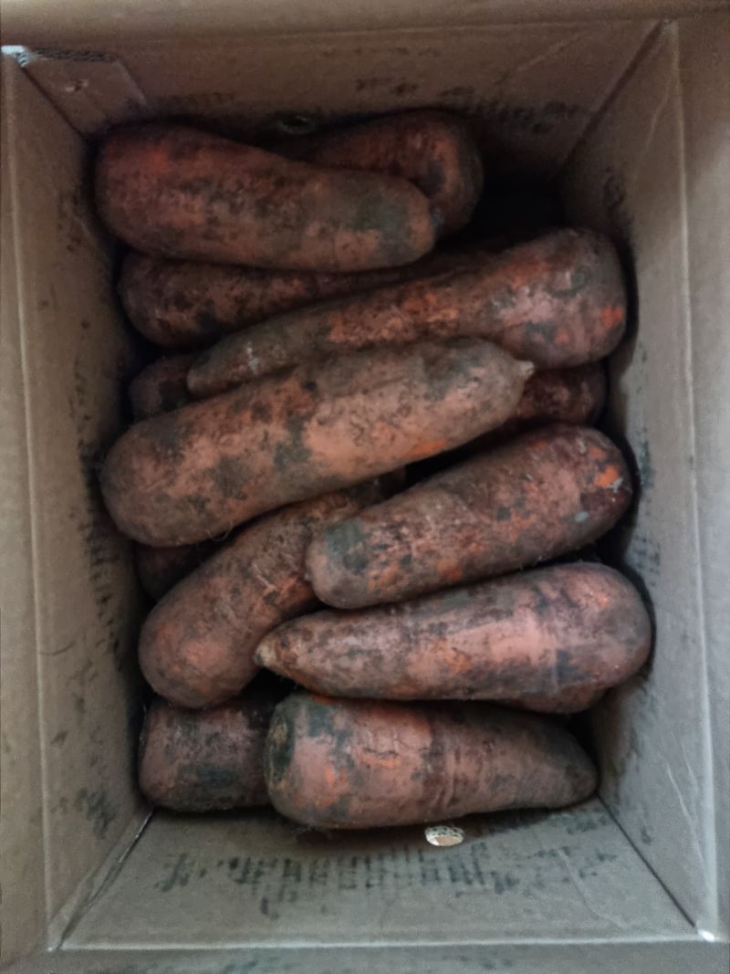 블루베리8237님의 장터 구매 후기 썸네일