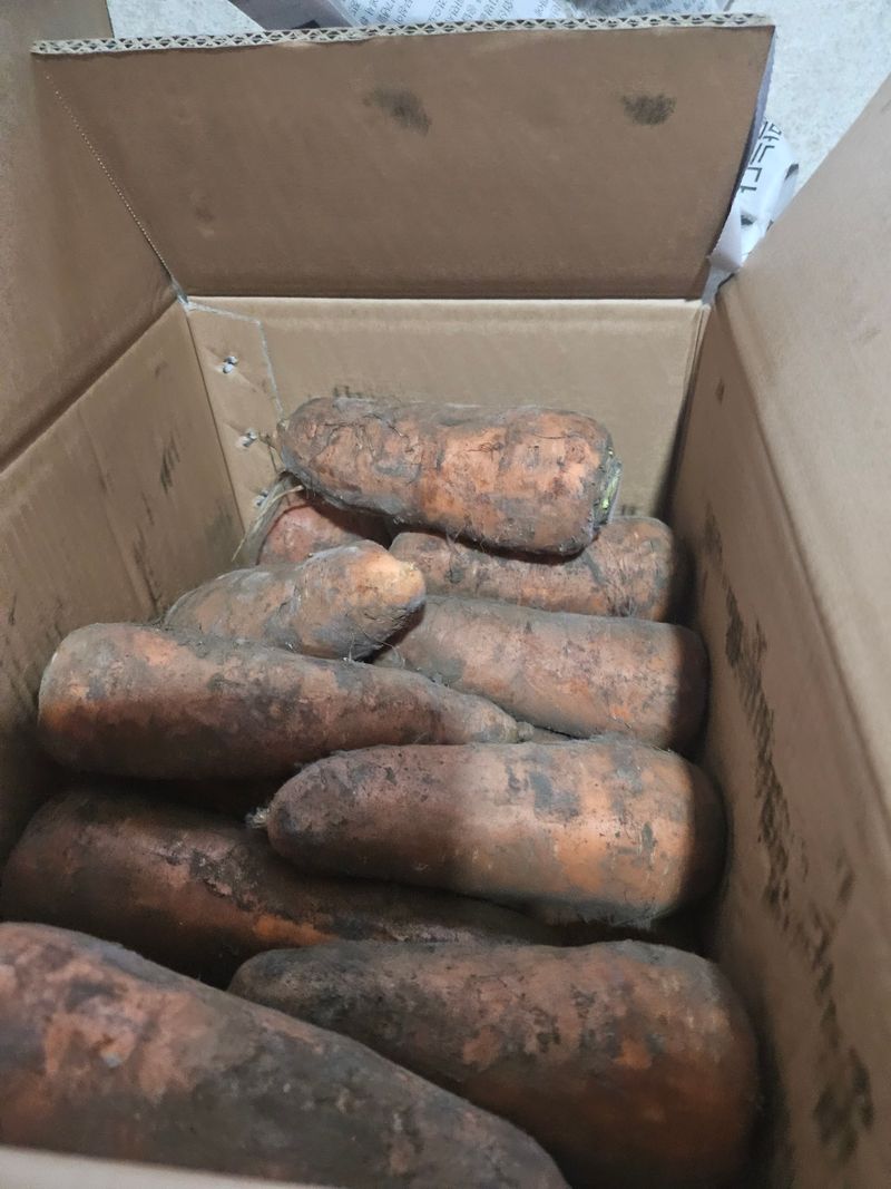 호두한형희님의 장터 구매 후기 썸네일