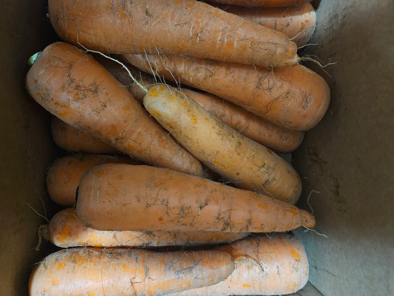 김미선님의 장터 구매 후기 썸네일