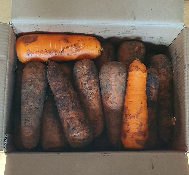 함영숙 님의 장터 구매 후기 썸네일