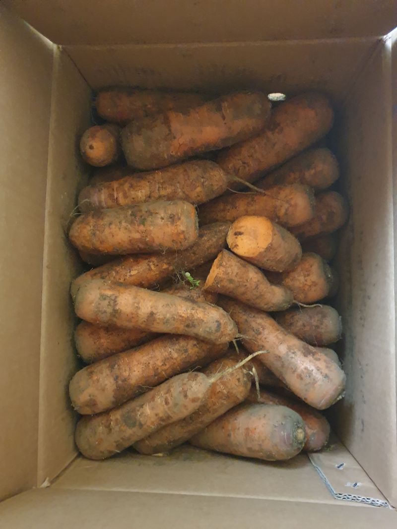 우주농원님의 장터 구매 후기 썸네일