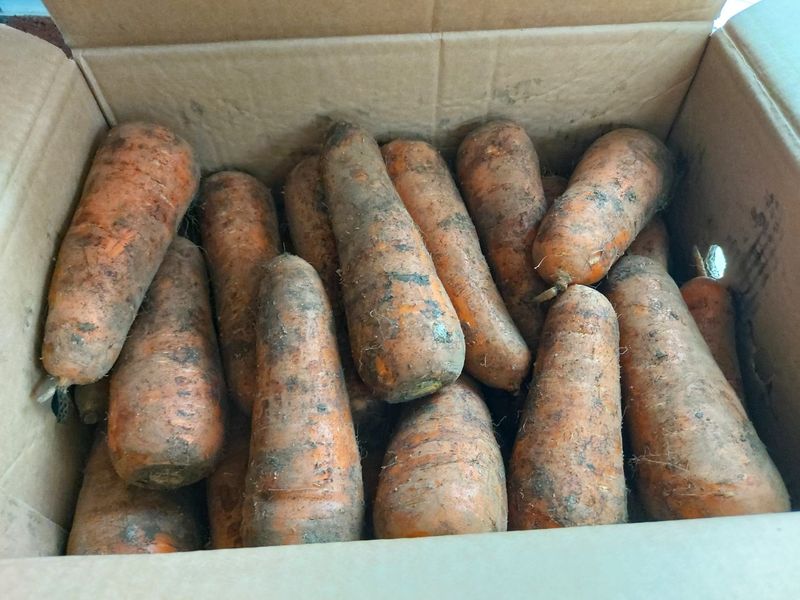 김정미님의 장터 구매 후기 썸네일