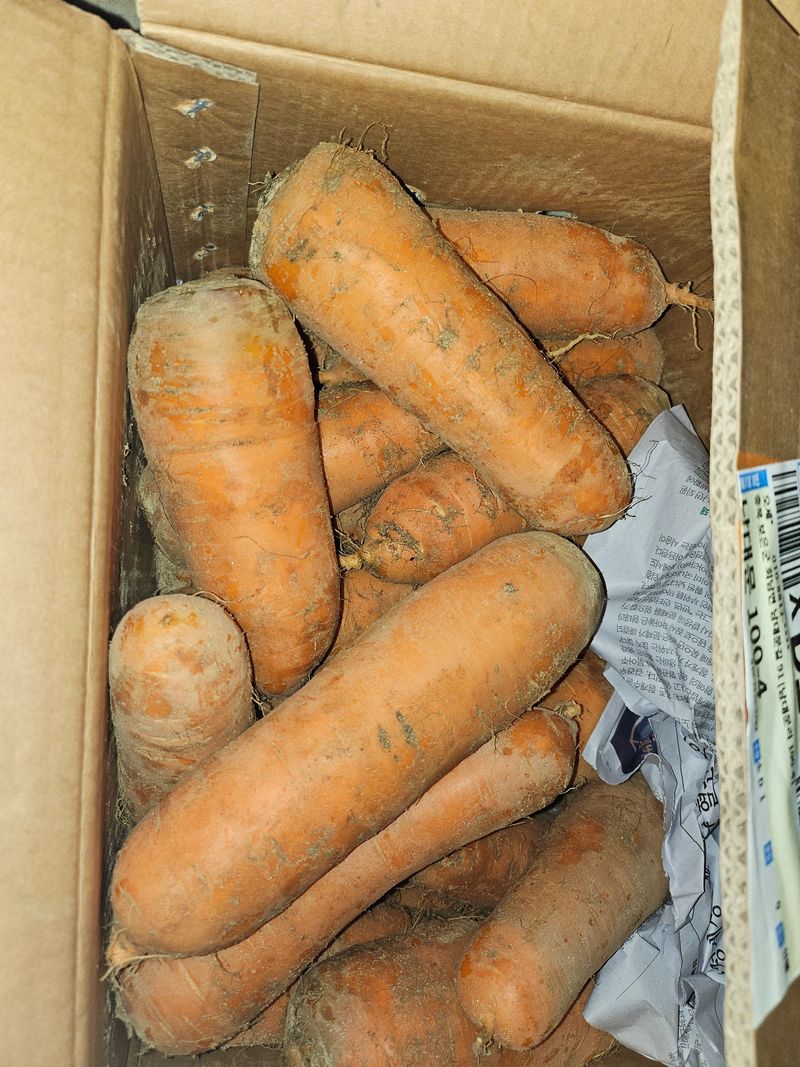 복숭아 아저씨님의 장터 구매 후기 썸네일