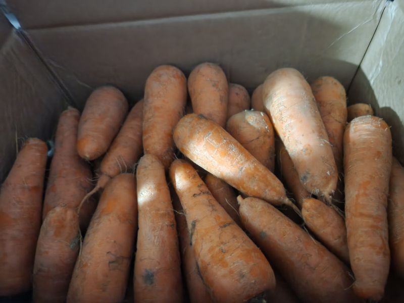 윤자님의 장터 구매 후기 썸네일