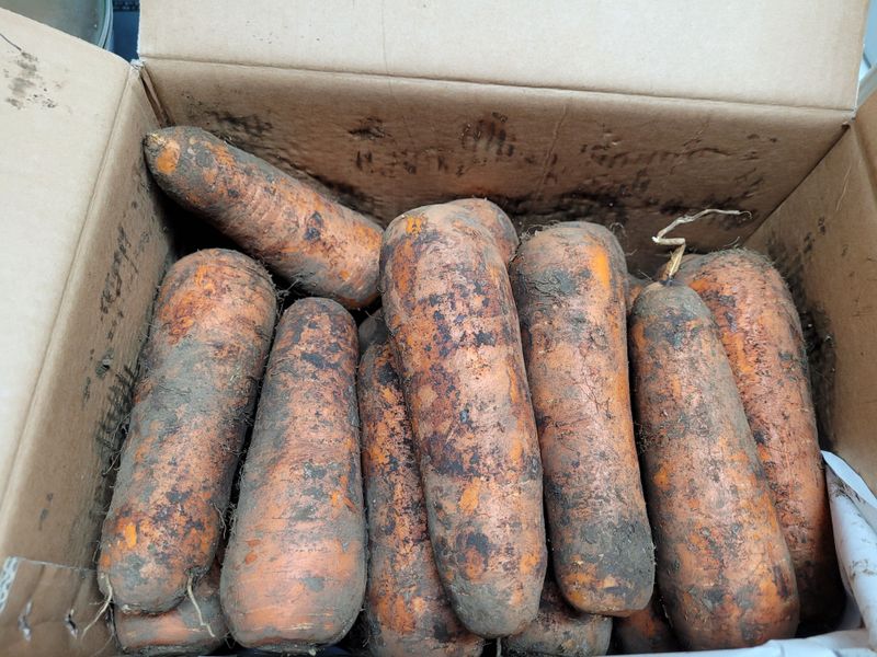 김창래님의 장터 구매 후기 썸네일