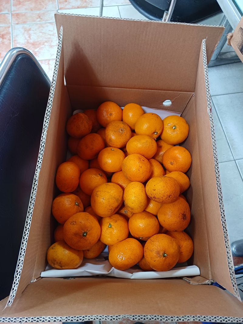 박해복님의 장터 구매 후기 썸네일