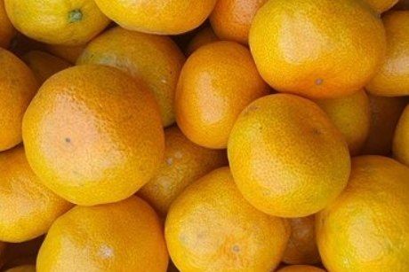 장영수님의 장터 구매 후기 썸네일