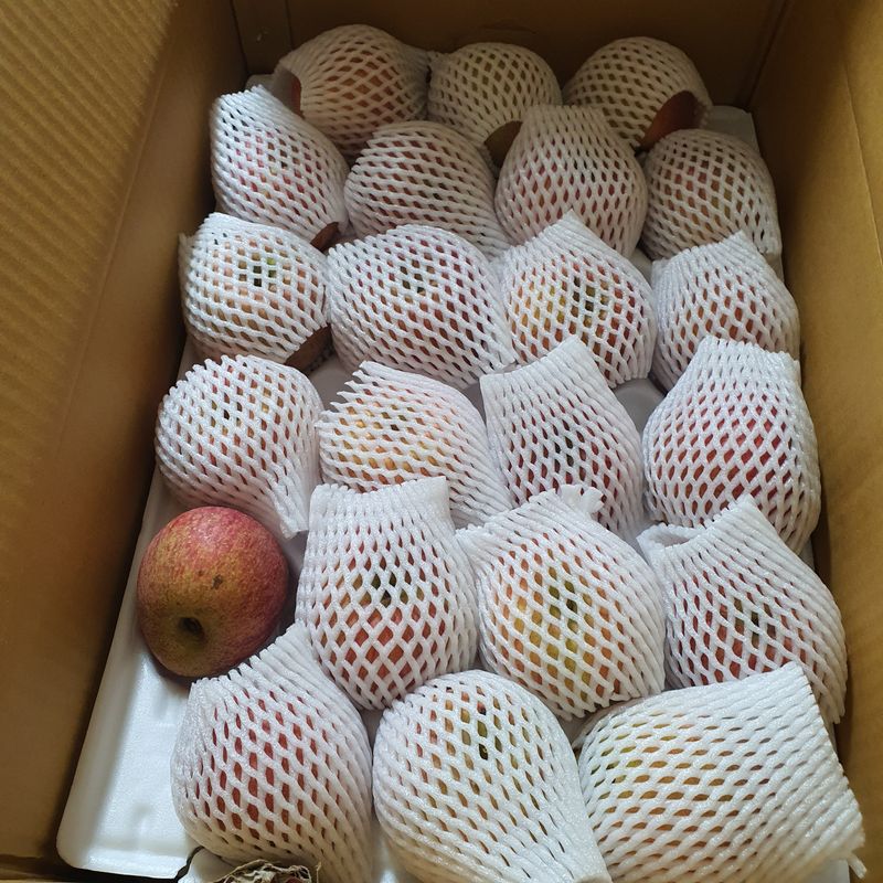 프로윤샘님의 장터 구매 후기 썸네일