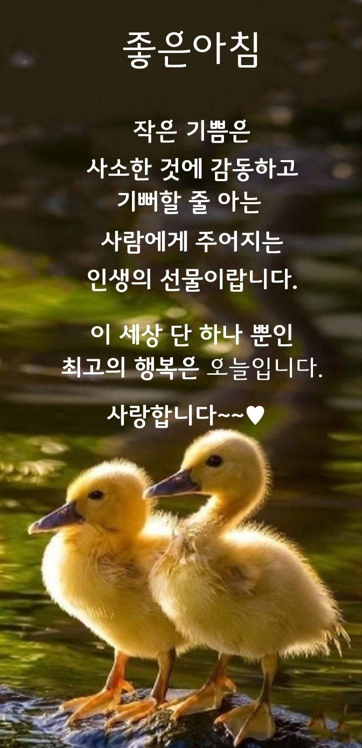 최행연님의 장터 구매 후기 썸네일