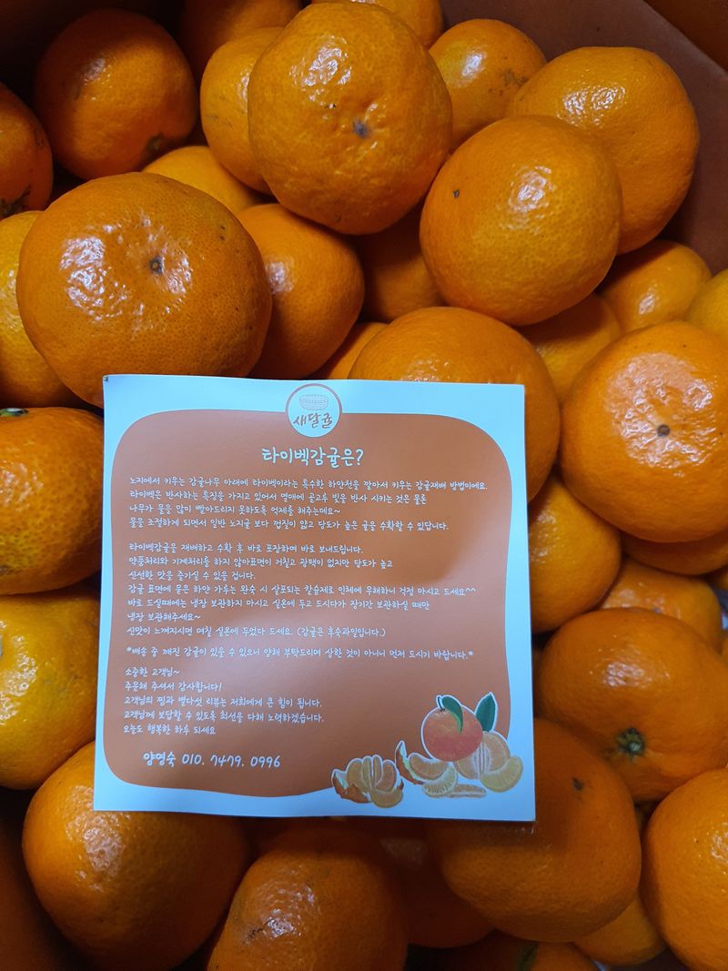 강원주님의 장터 구매 후기 썸네일