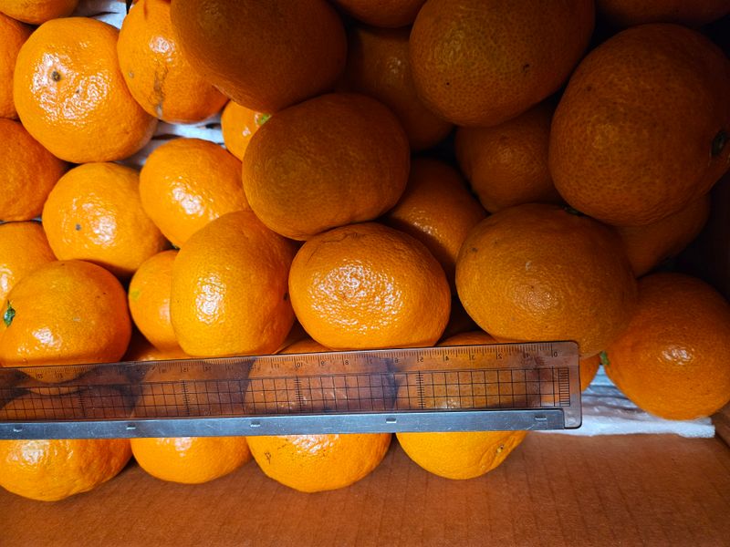 양파22164님의 장터 구매 후기 썸네일