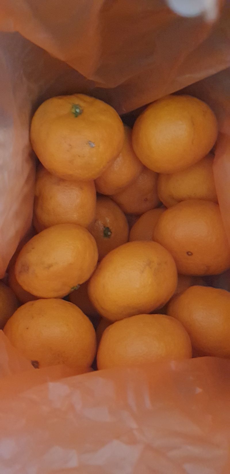 PEACE님의 장터 구매 후기 썸네일