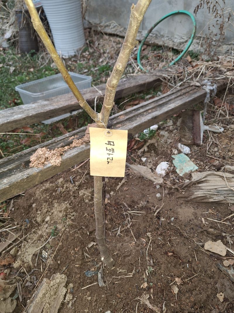 임동식님의 장터 구매 후기 썸네일