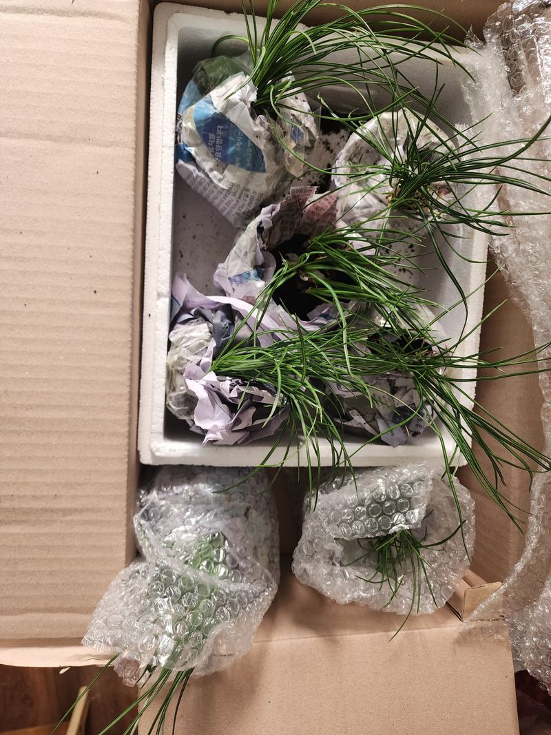 권춘화님의 장터 구매 후기 썸네일