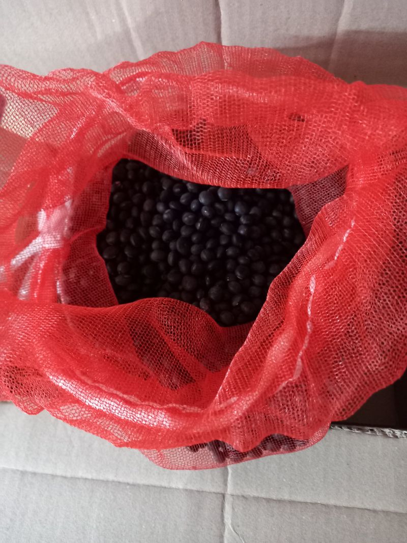 박제순님의 장터 구매 후기 썸네일