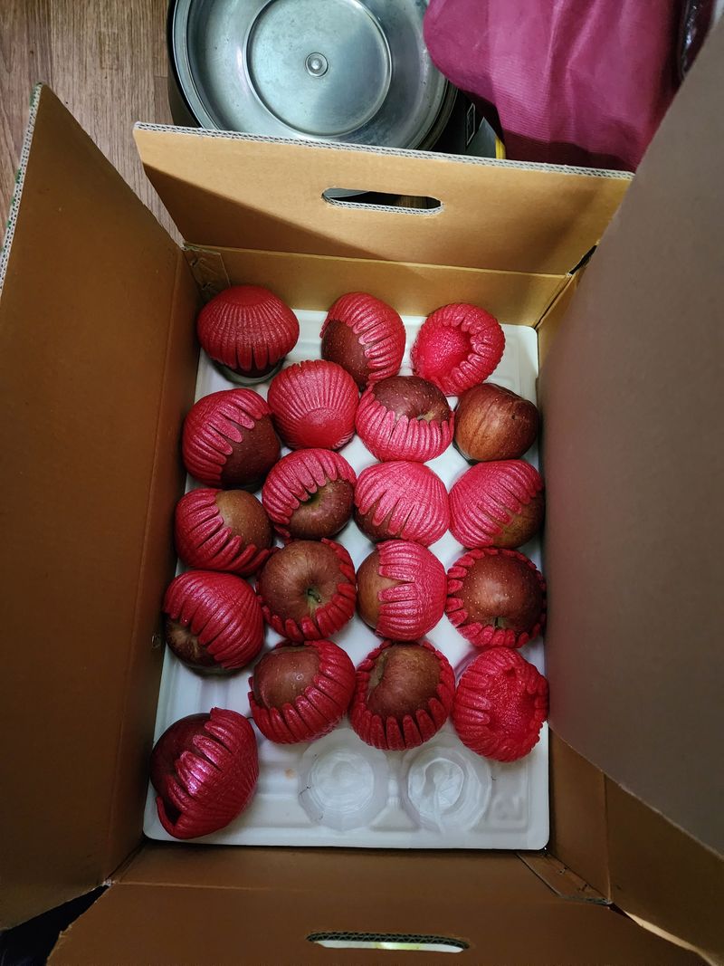 왜목 김진규님의 장터 구매 후기 썸네일